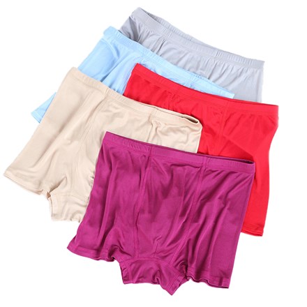 Men's Silk Knitted Underwear